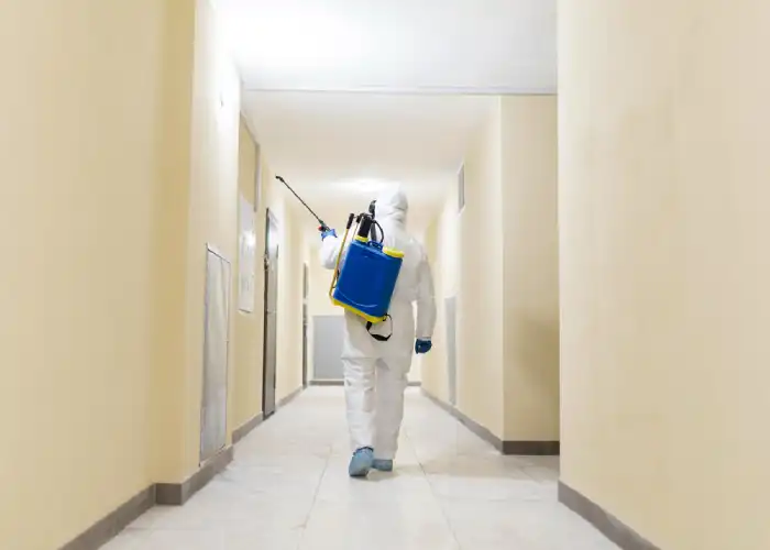 Pest Control Services in Parañaque City