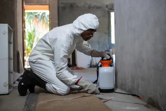 Termite Proofing Works in Manila