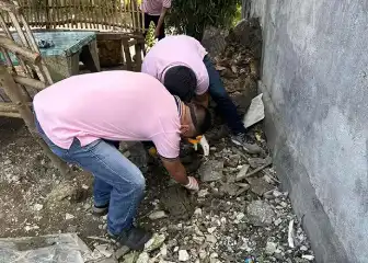 Cat Control in Manila