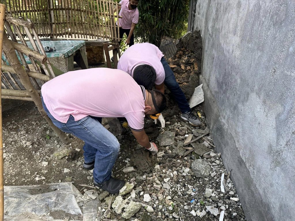 Pests Control in Manila 5 Expert Strategies MR Pest Control