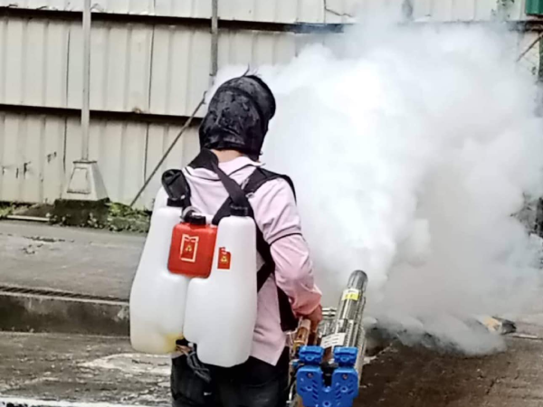 Choosing the Right Fumigation Services in Manila: What You Need to Know