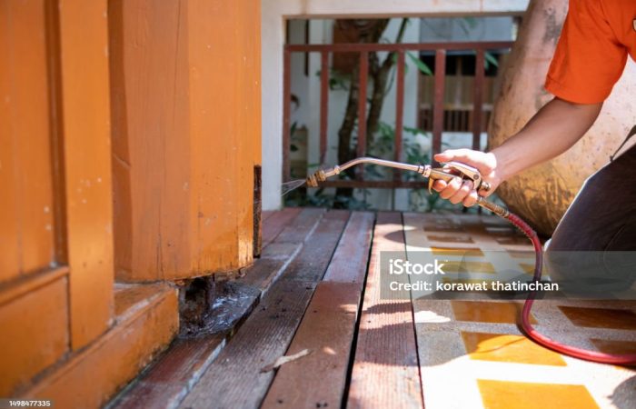 How to Choose the Best Pest Control Services in Manila: A Homeowner’s Guide