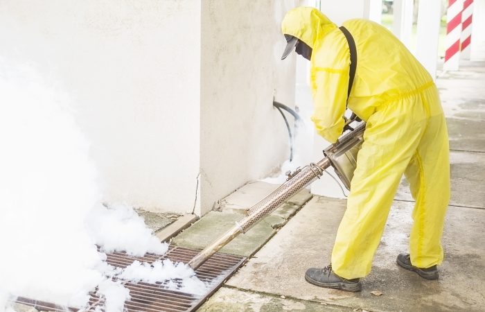 The Benefits of Professional Fumigation Services in Manila