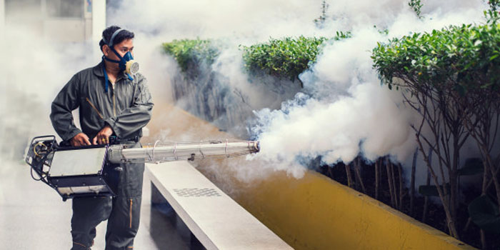 Discover why fumigation services in Manila are crucial for maintaining a pest-free home. Learn how MR Pest Control provides effective solutions to protect your property and health.