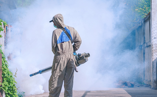 Discover why fumigation services in Manila are crucial for maintaining a pest-free home. Learn how MR Pest Control provides effective solutions to protect your property and health.