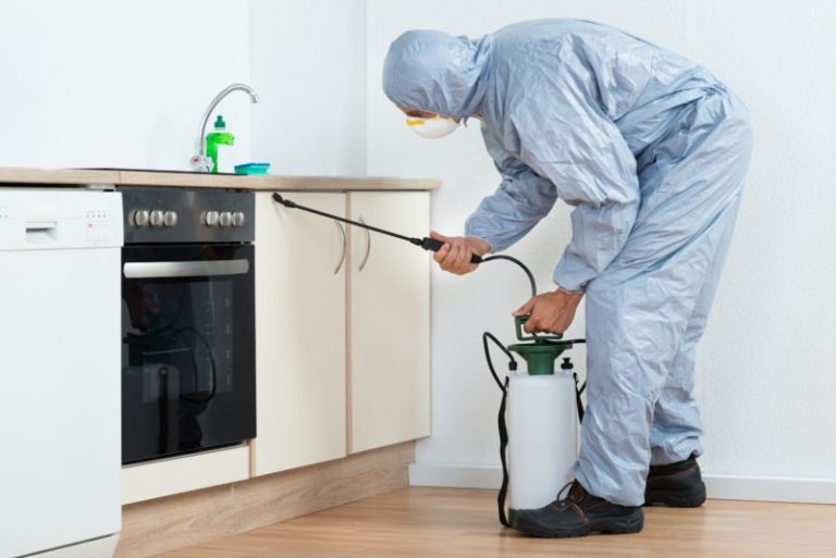 Discover the top 5 pest control solutions in Quezon City to keep your home bug-free. Learn how MR Pest Control can help you eliminate pests effectively and safely.