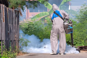 Fogging in Quezon City