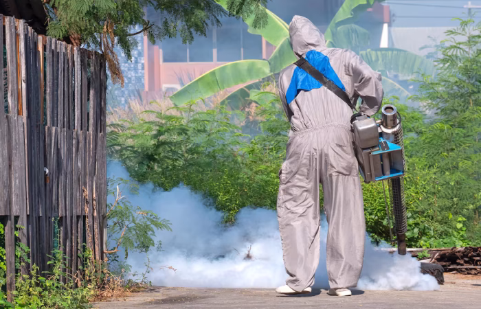 Fogging in Quezon City: Community Efforts Against Dengue and Other Mosquito-Borne Illnesses