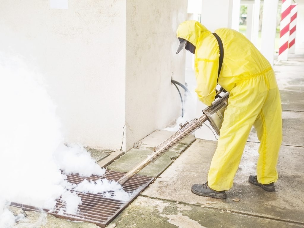 Looking for reliable pest control in Cavite? MR Pest Control offers expert solutions to eliminate pests efficiently. Say goodbye to pests today with Cavite’s trusted pest control company!