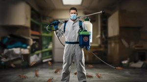 Pest Control in Tagaytay
