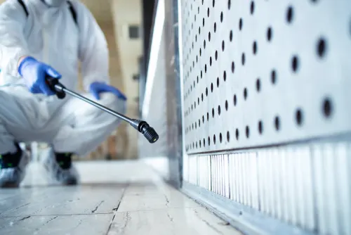 Pest Control Services in The Philippines