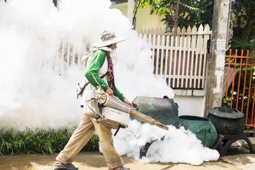 Pest Control in Quezon City
